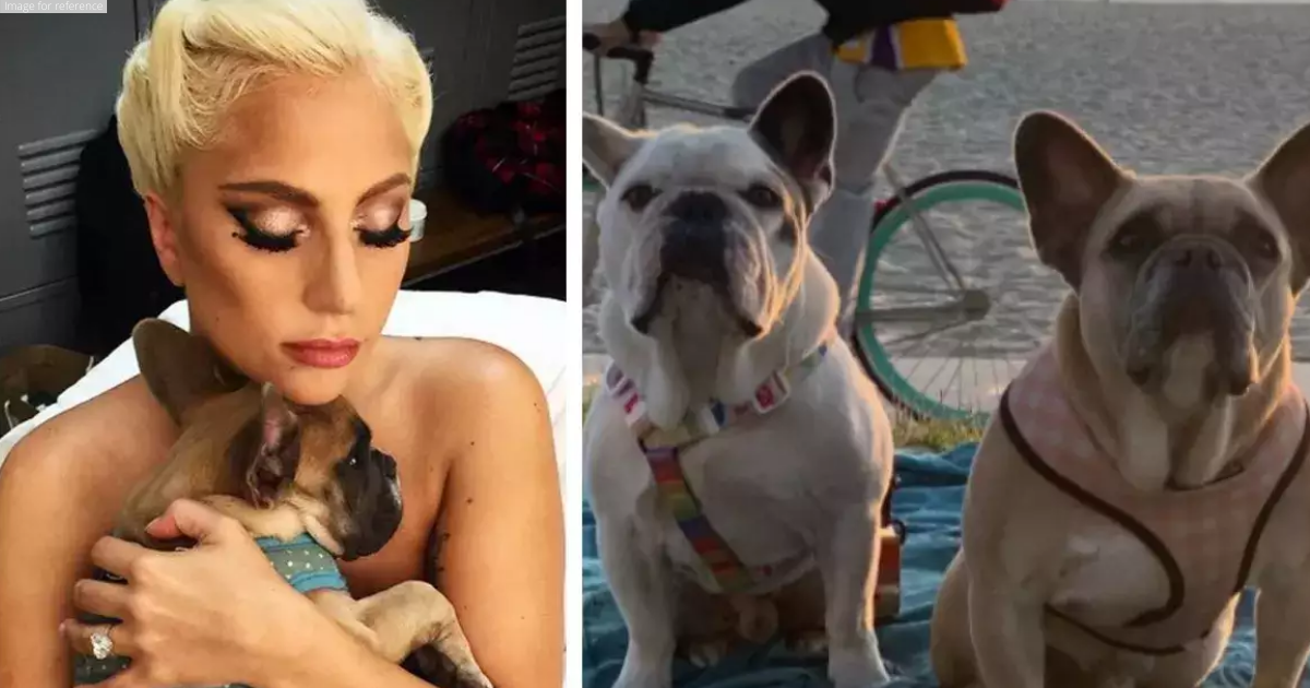 Man sentenced to four years prison in Lady Gaga's dog walker shooting and robbery case